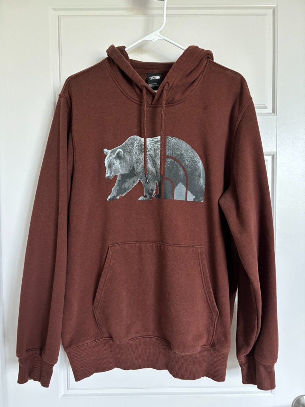 The North Face Men Bear Graphic Pullover Hoodie Brown